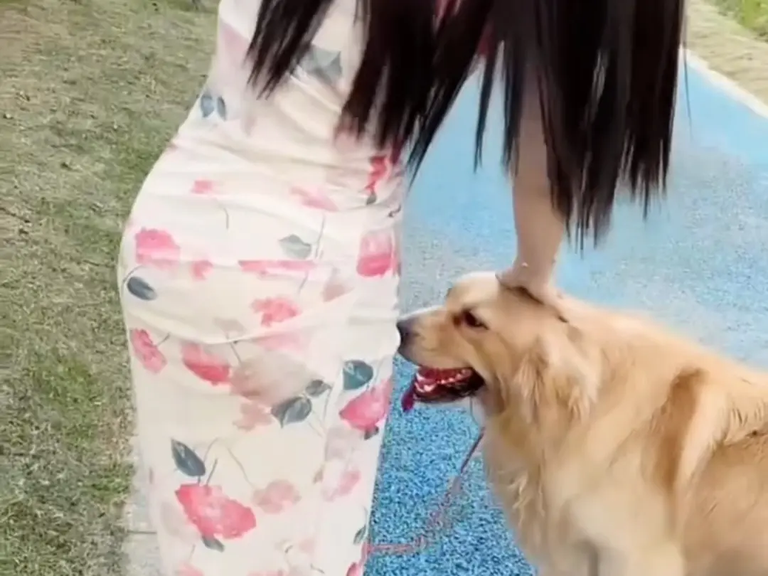 免费获取《抖音香香公主与爱犬》科普视频全集，抖音香香公主与爱犬直播回放无删减在线观看，流畅不卡顿！