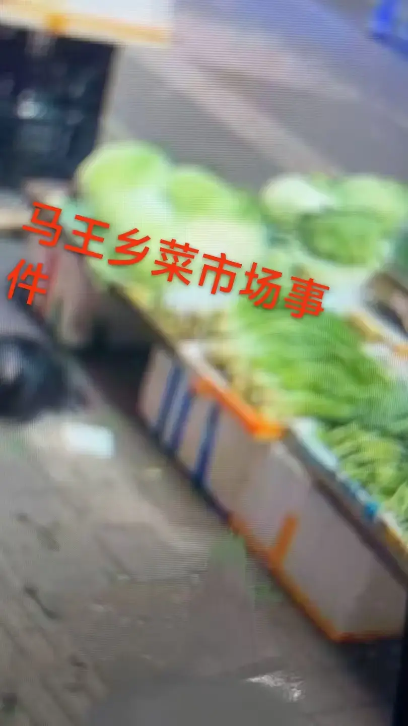 震撼！《重庆马王乡菜市场事件》一手视频曝光，4K超高清画质，附关键节点时间标记，重庆马王乡菜市场事件不容错过！