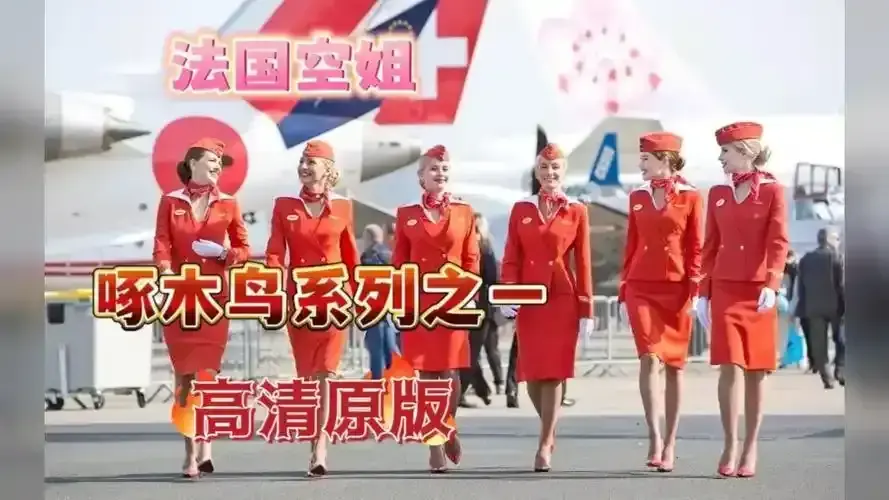 法国经典电影《法国空姐》在线免费观看，1080P高清无删减-完整版《法国空姐》无广告流畅不卡顿-领略私人航空与不雅空乘的魅力