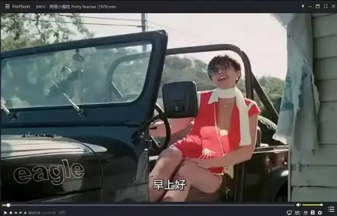《美丽小蜜桃》高清完整版无广告在线看_美国电影4K超高清画质免费播放_策驰影院《美丽小蜜桃》经典重现持续有效