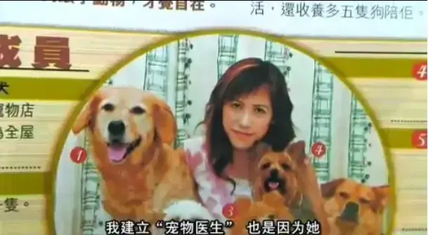 免费播放欧美大片《女人与狗》，中字全集无删减-《女人与狗》高清画质在线看，1080P超清流畅-支持网盘资源下载无广告