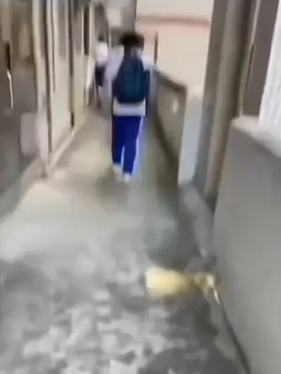 《大昌市第七中学》教室走廊拍到的诡异身影完整版来袭，1080P高清播放不收费，同时分享《大昌市第七中学》绝密调查档案，速来！