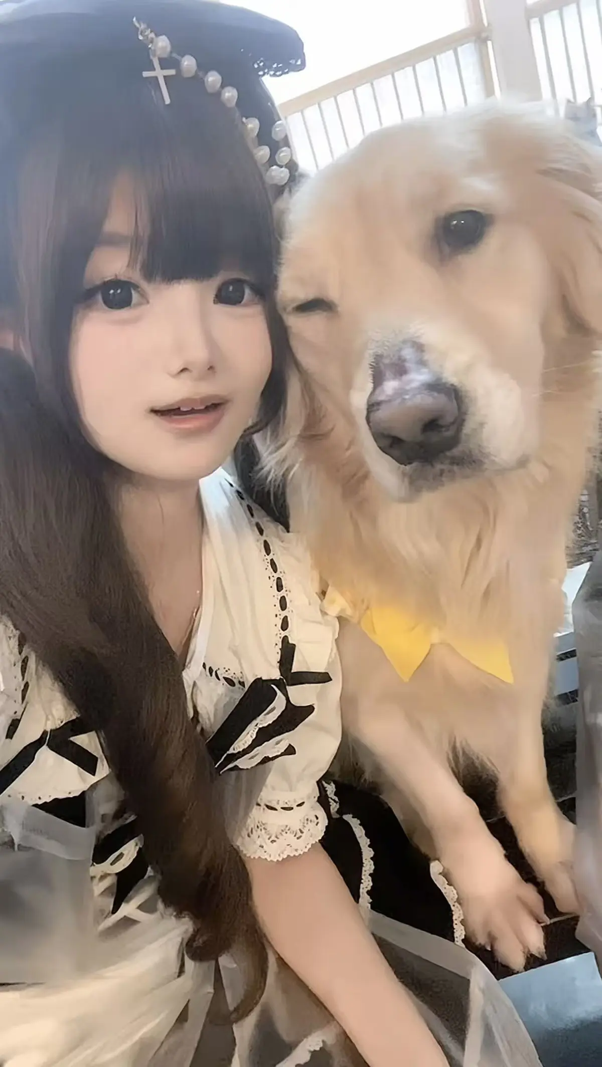 《金毛小蛋糕海鲜事件》免费在线观看，感受香香公主与金毛的奇妙经历，1080P高清呈现精彩剧情！