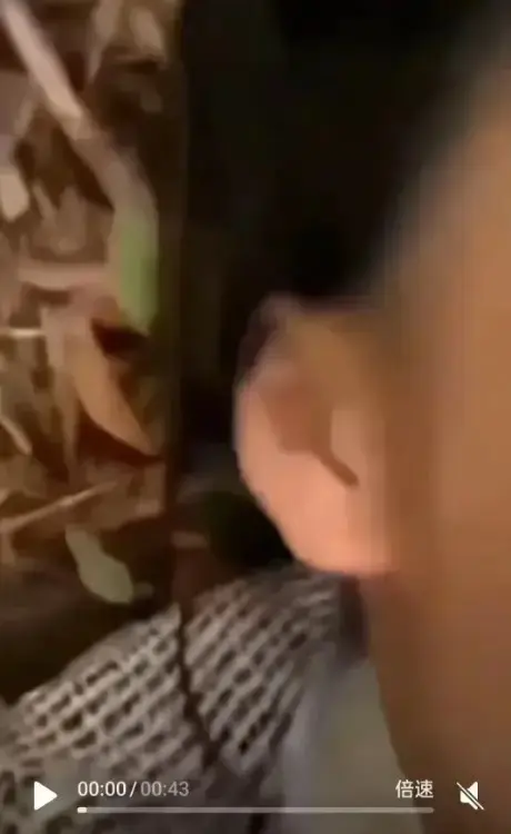 想看《女轻奢事件》？这里有轻奢事件完整回放，校园轻奢男孩和轻奢二人组双人大战，无广告在线畅享HD高清画质！