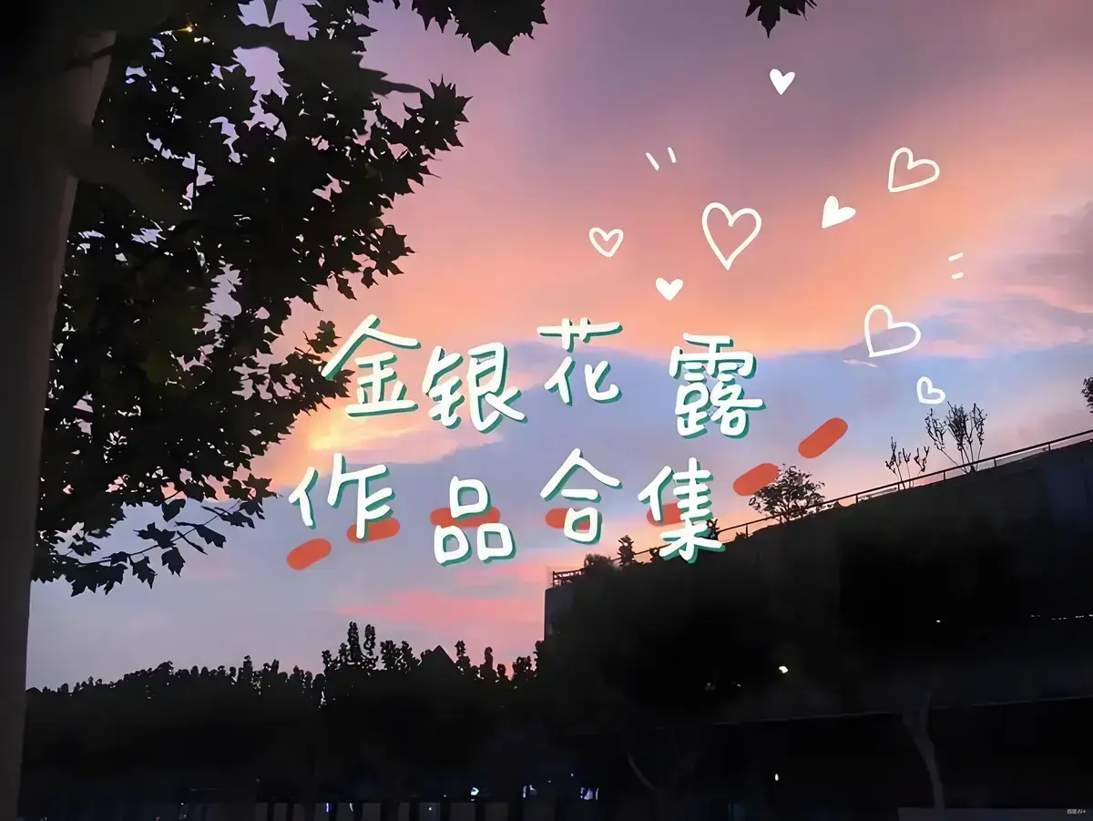 看《金银花露的所有书》全集，体验乐可故事，走进困苦人生路，4K超高清画质流畅不卡顿！