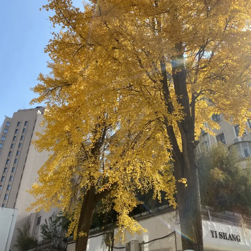 《silk_labo系列》HD中字-女性向1080P全集-高清中字无删减版-百度网盘独家资源，silk_labo系列浪漫感官典藏合集